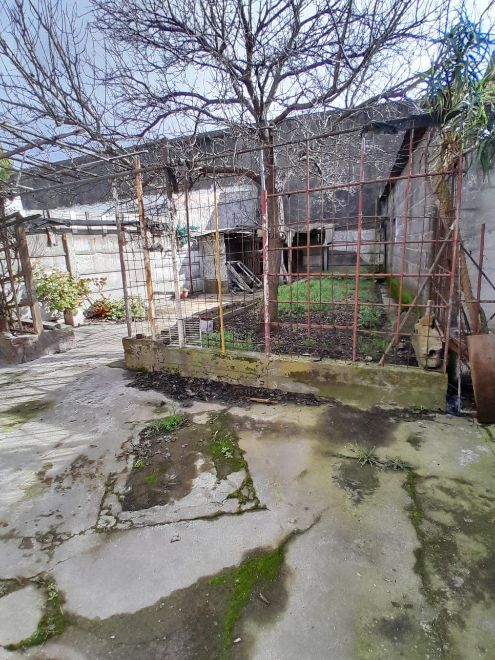 Casa en venta con posibilidad comercial - 9