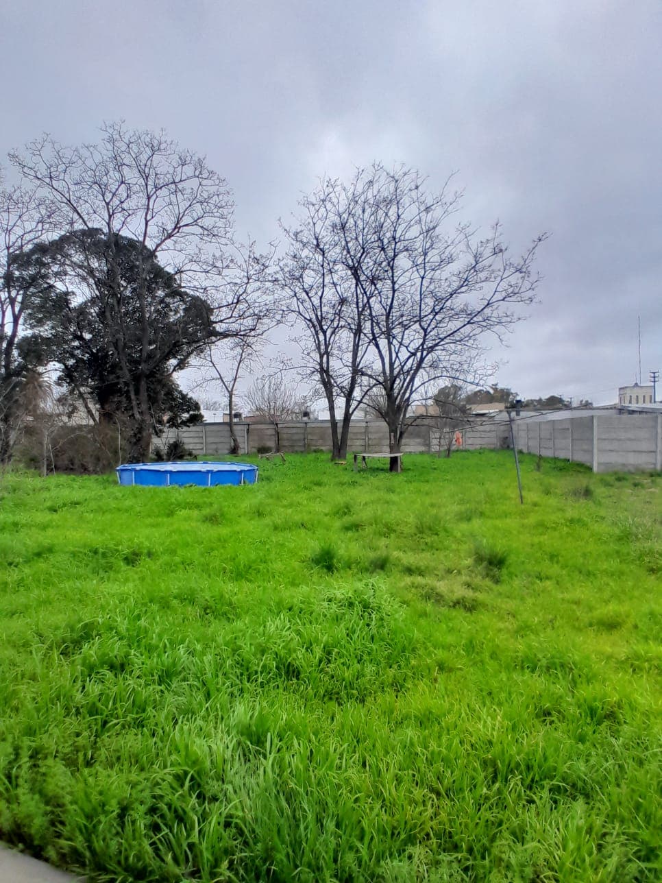 Local comercial con gran lote en Laprida y Bolívar. - 5