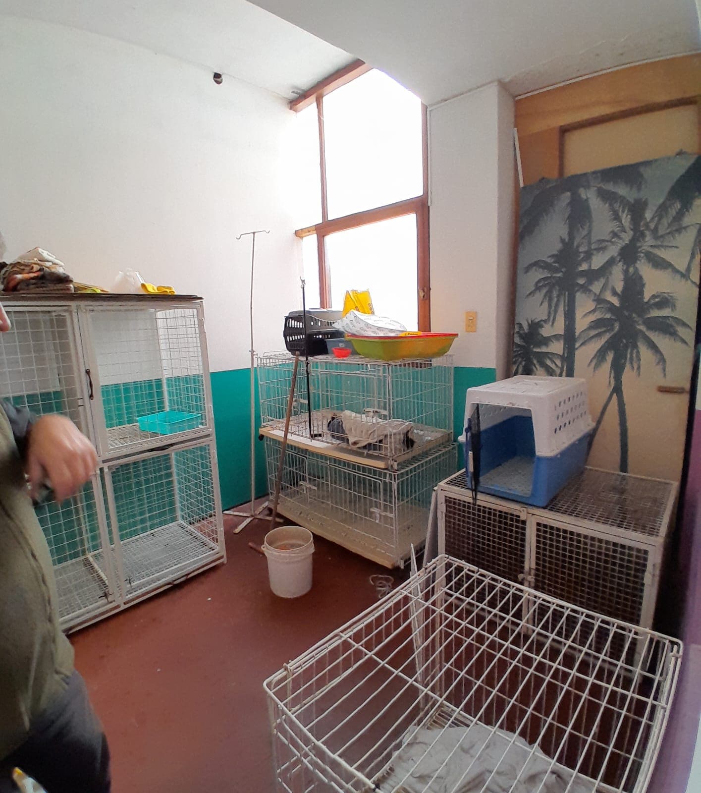 Departamento de  3 Dormitorios en Azul con Local Comercial - 14