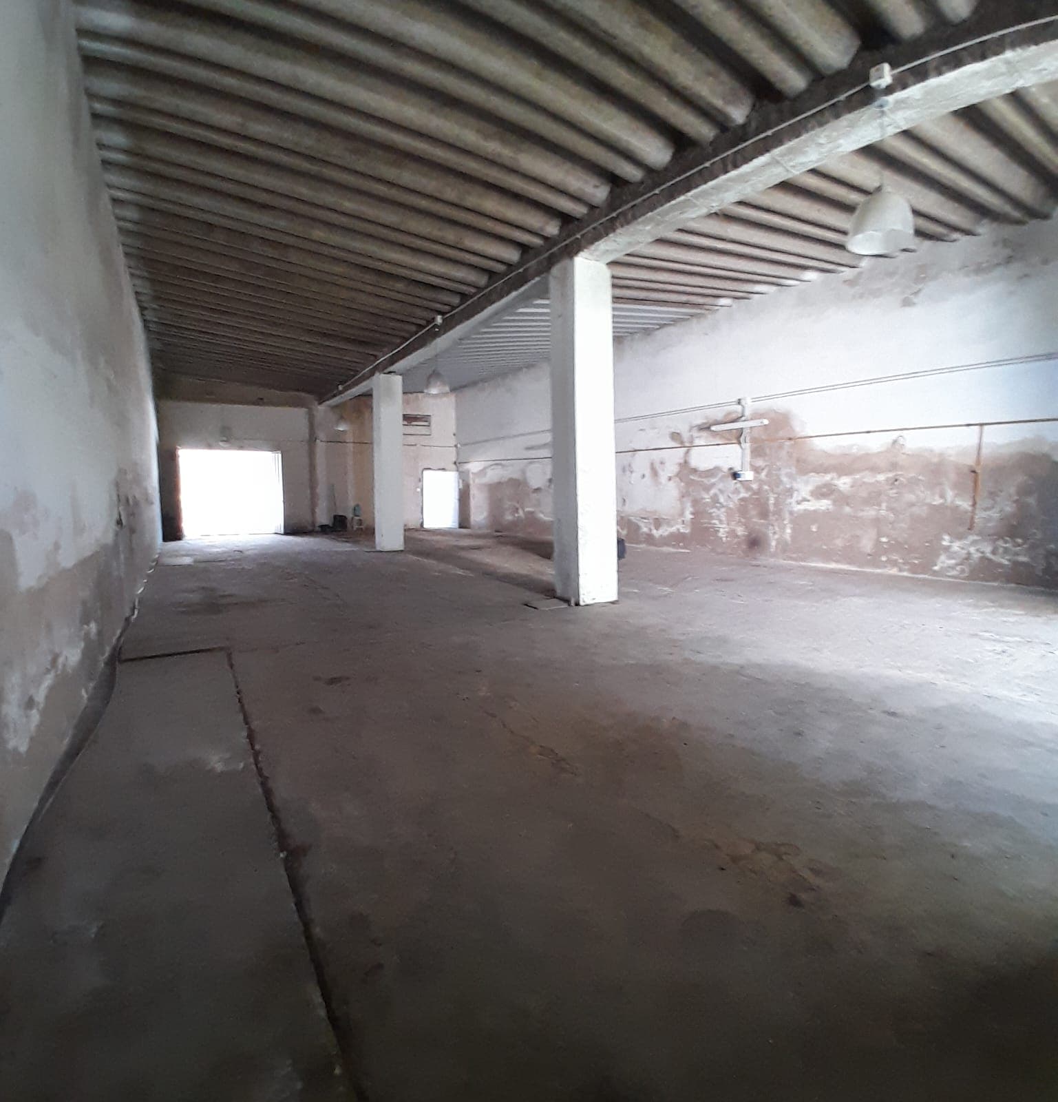 LOCAL + GALPON EN CHILLAR - 5