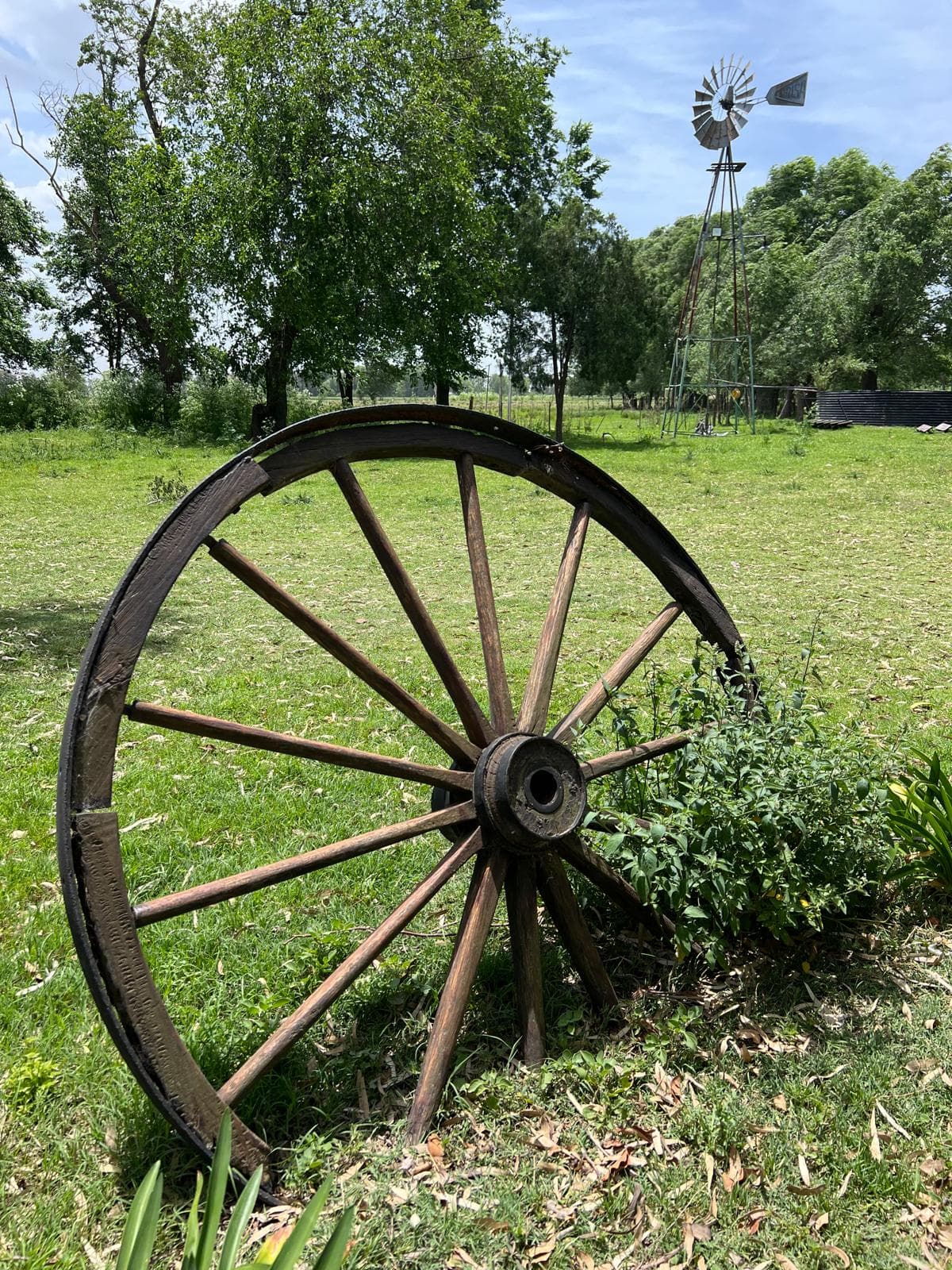 Chacra en Venta en Azul. - 6