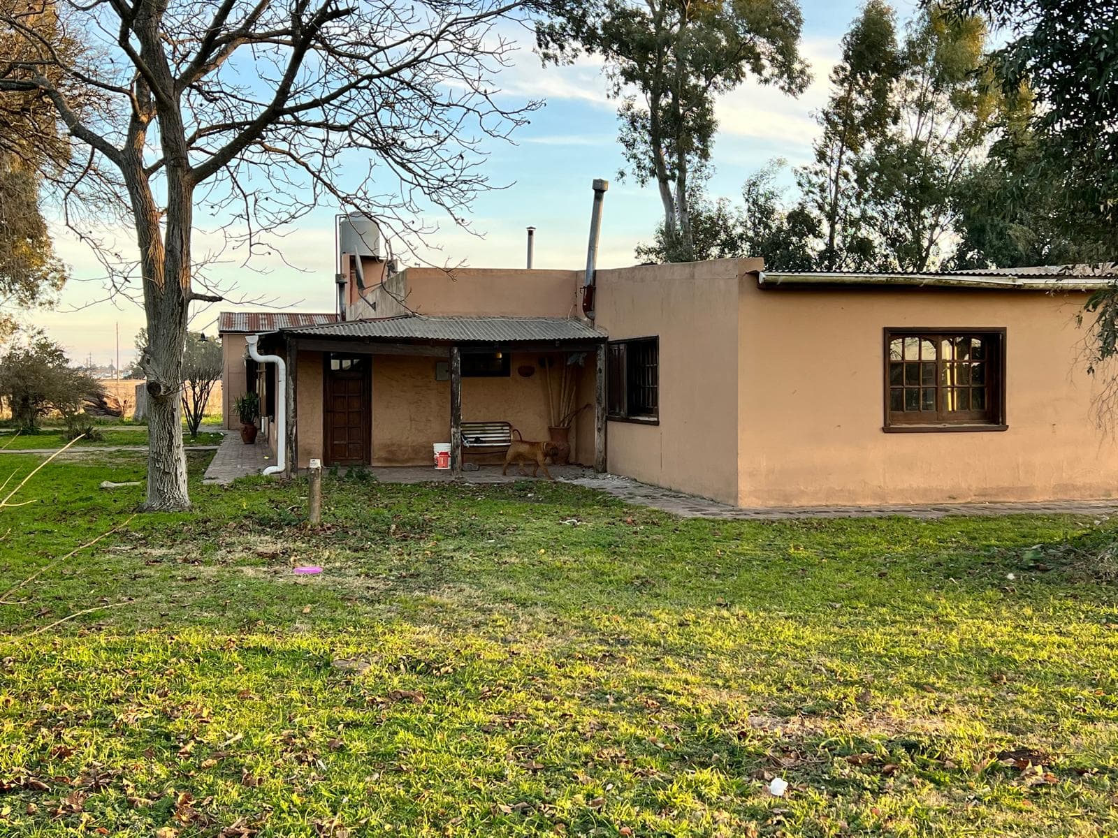 Chacra en Venta en Azul. - 4