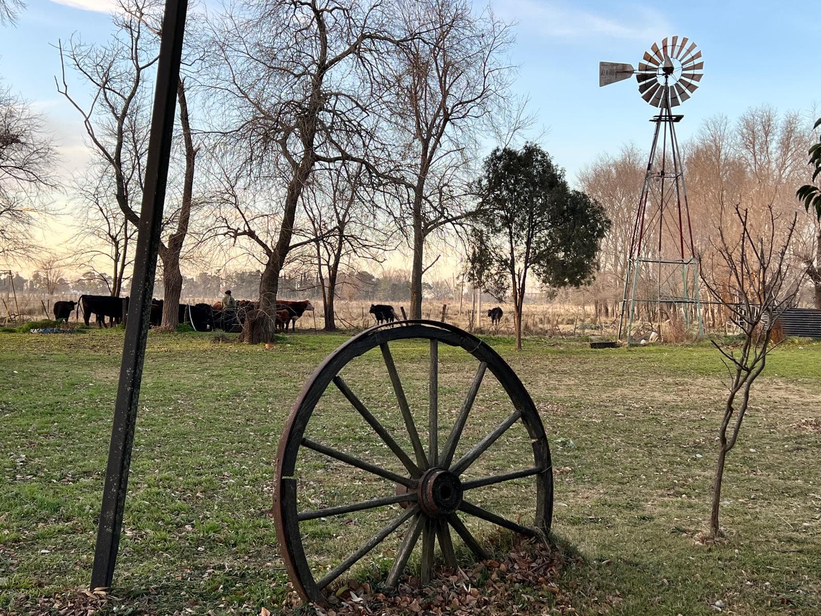 Chacra en Venta en Azul. - 8