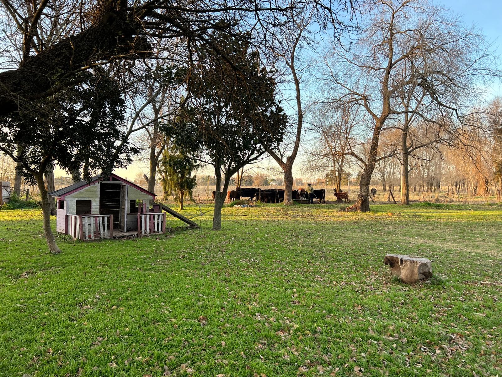 Chacra en Venta en Azul. - 5